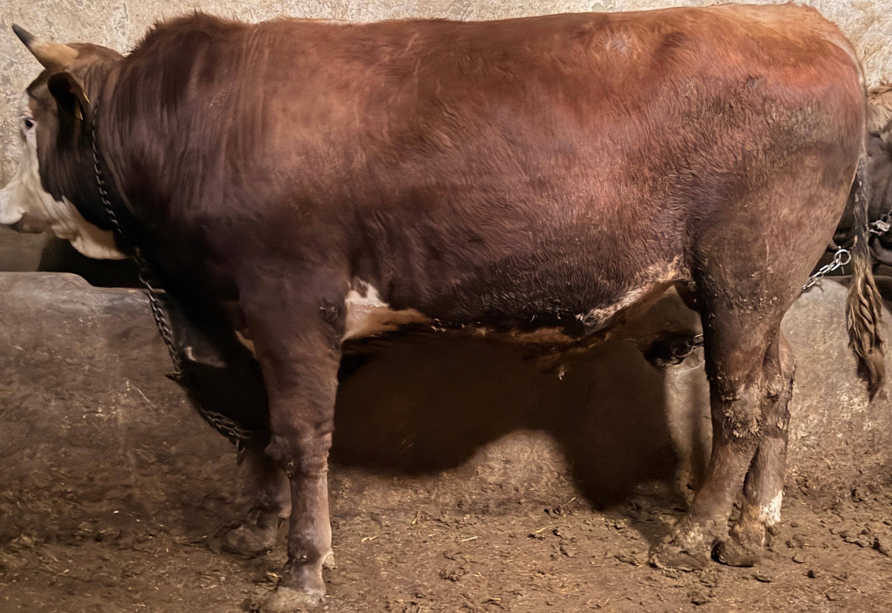 M-3729