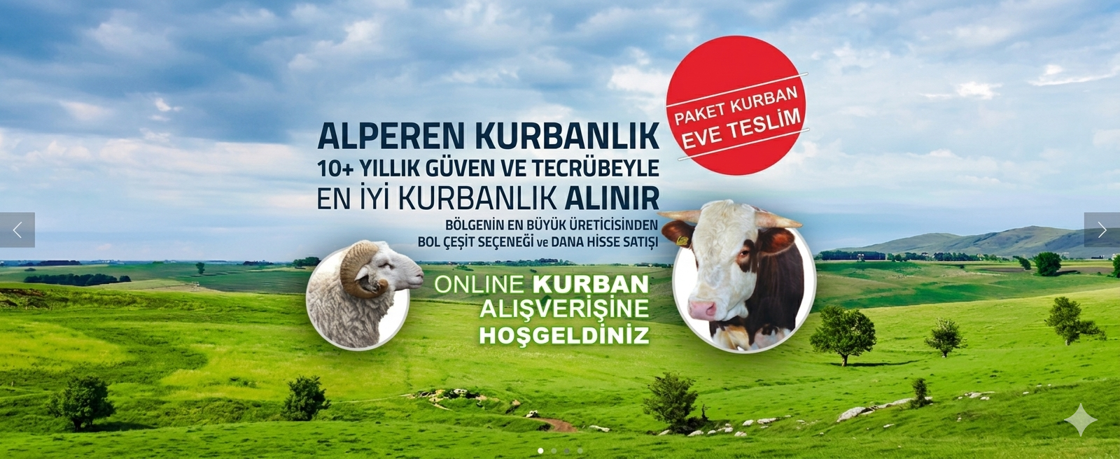 Alperen Kurbancık